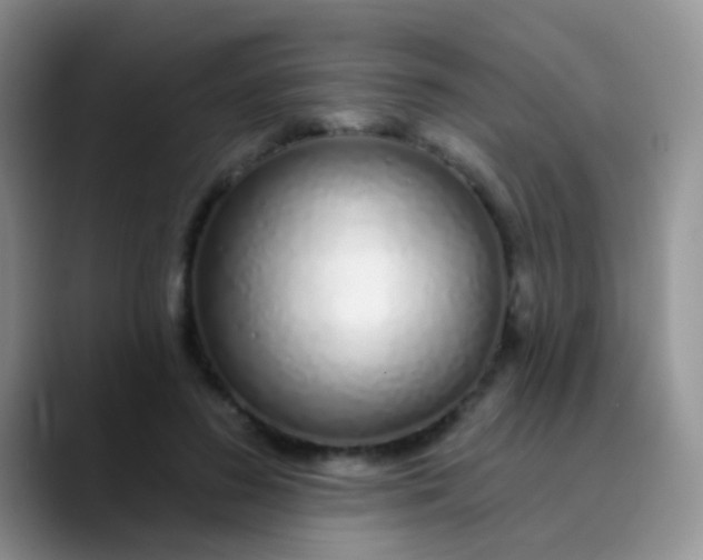 X0000089880596200707191958