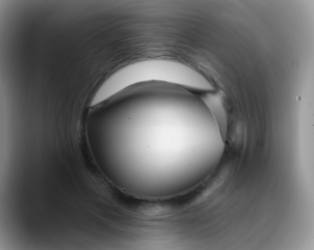 X0000089880597200707191958