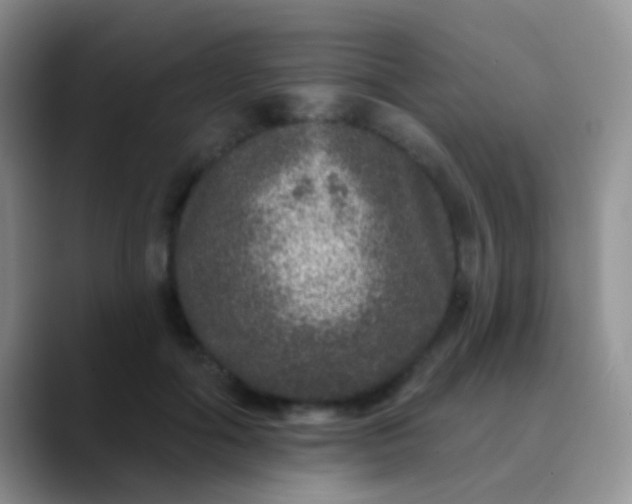 X0000089880602200707191957