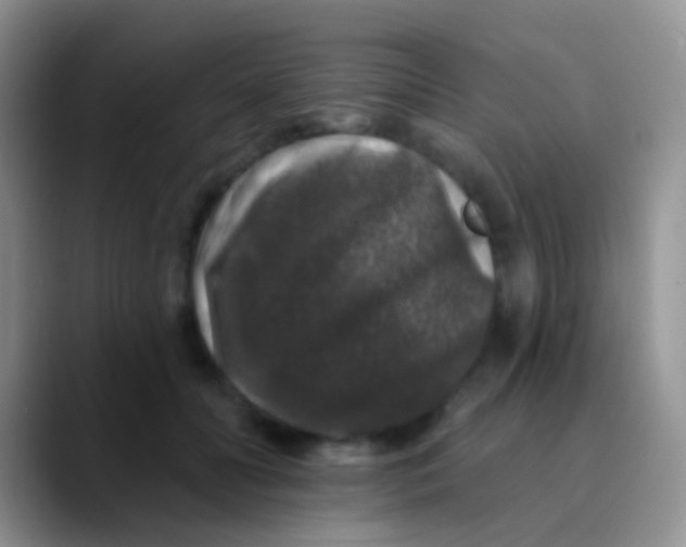 X0000089880606200707191957