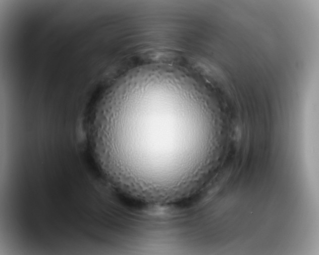 X0000089880607200707191957