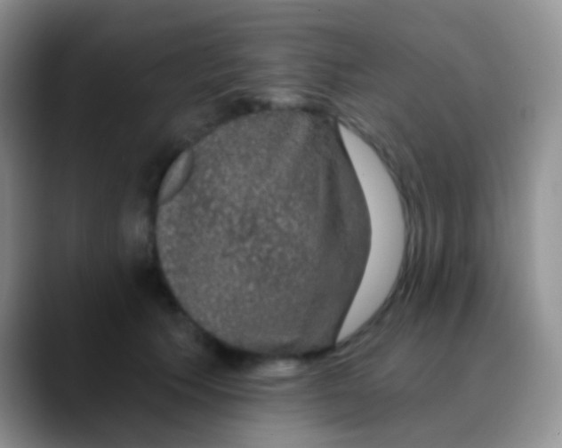 X0000089880609200707191957