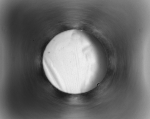 X0000089880612200707191957