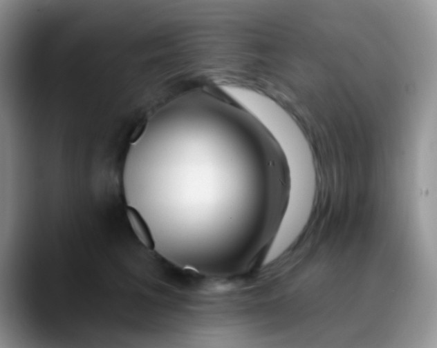 X0000089880613200707191957