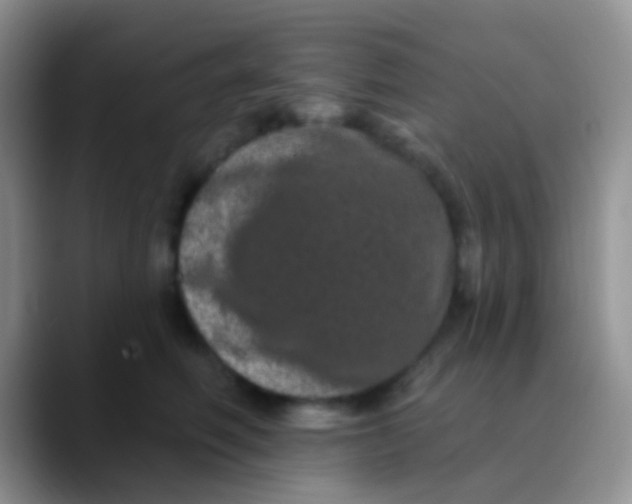 X0000089880614200707191957