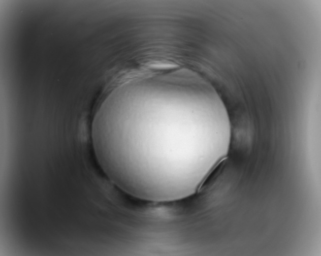 X0000089880620200707191957