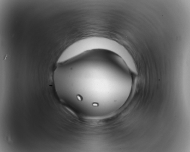 X0000089880621200707191957