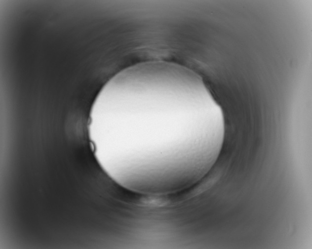 X0000089880624200707191957