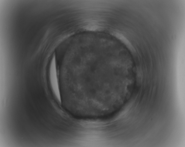 X0000089880626200707191957