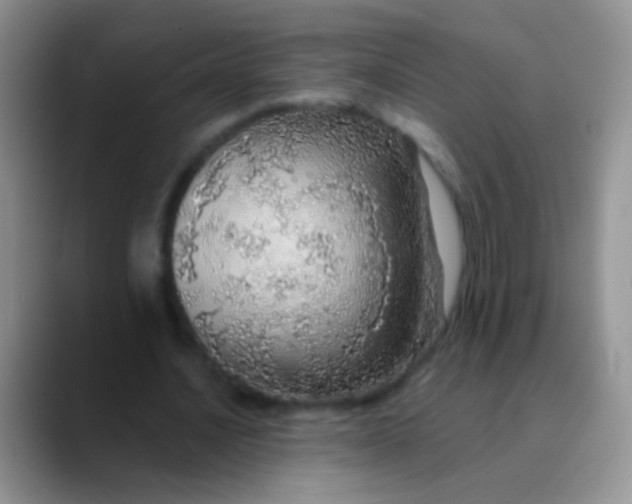 X0000089880628200707191957