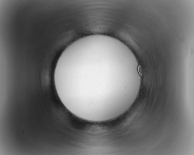 X0000089880635200707191957