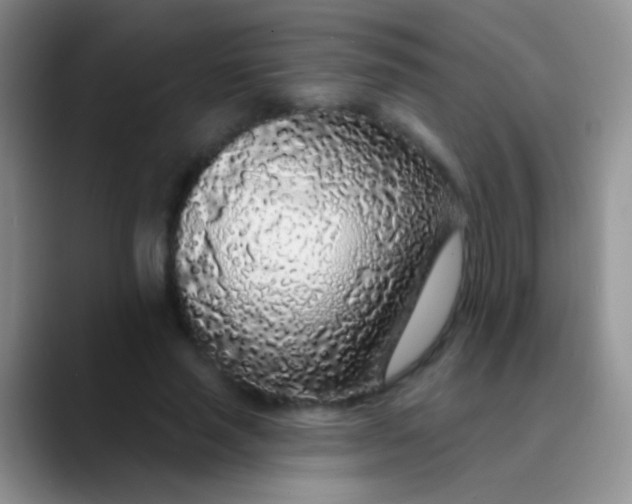 X0000089880637200707191957