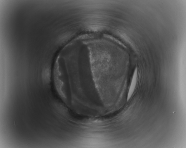 X0000089880640200707191957