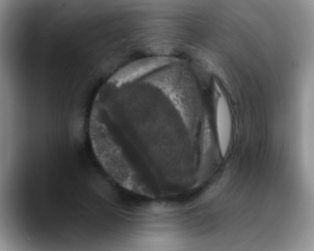 X0000089880641200707191957