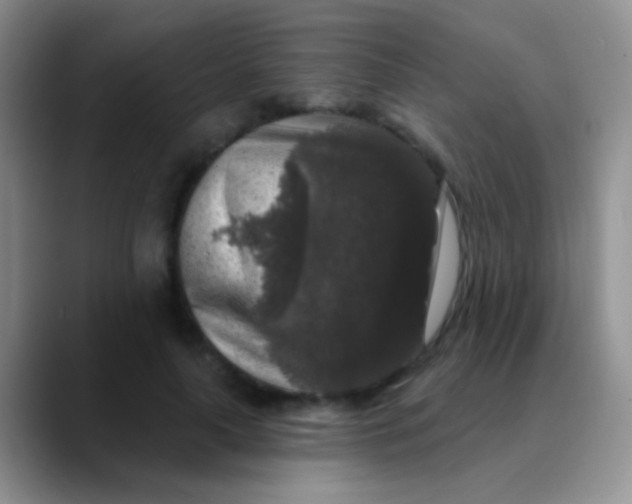 X0000089880643200707191957