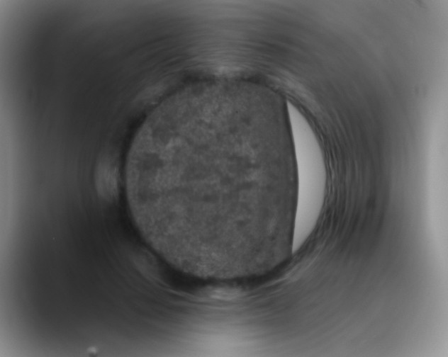 X0000089880644200707191957