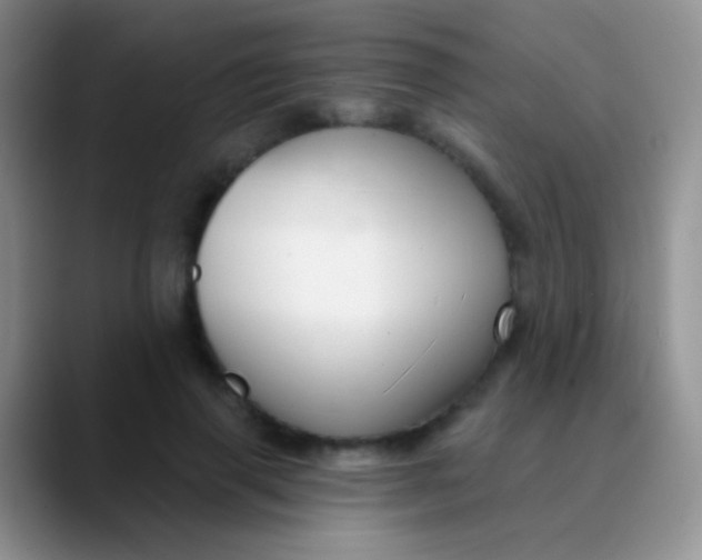 X0000089880645200707191957