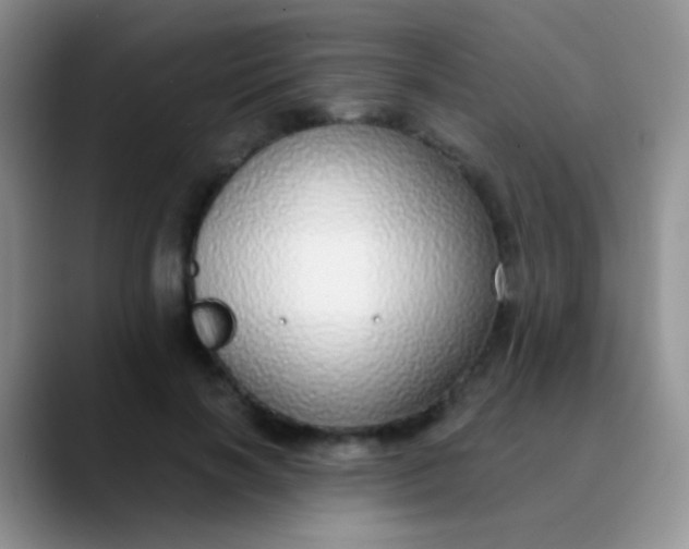 X0000089880646200707191957