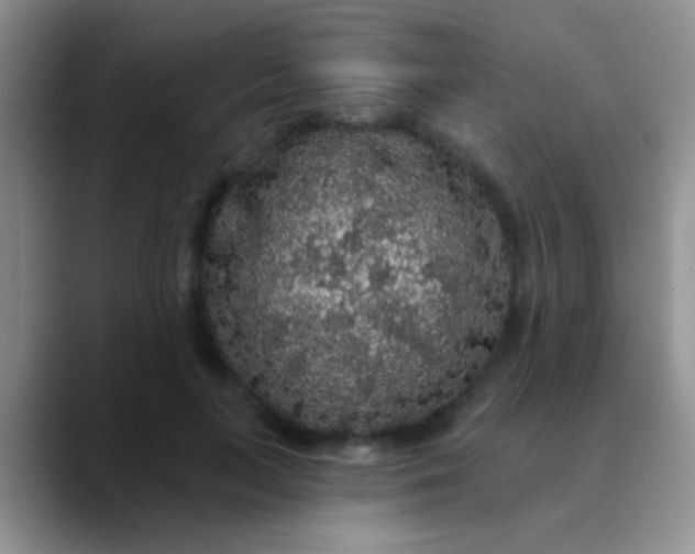 X0000089880647200707191957