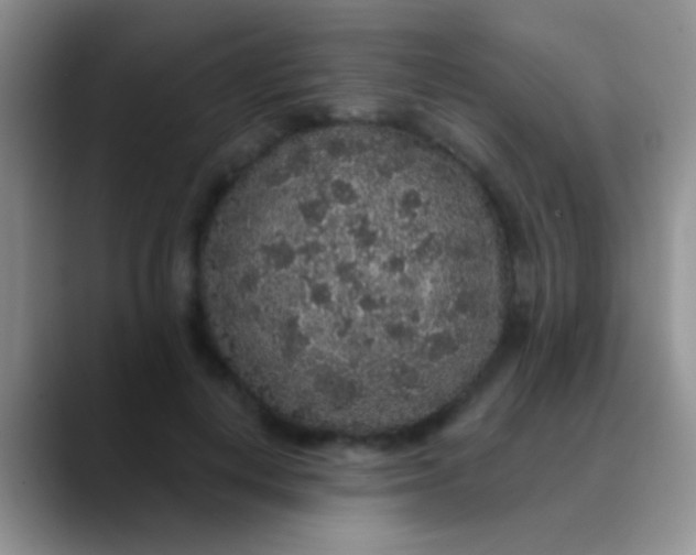 X0000089880648200707191957