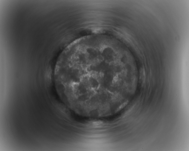 X0000089880650200707191957