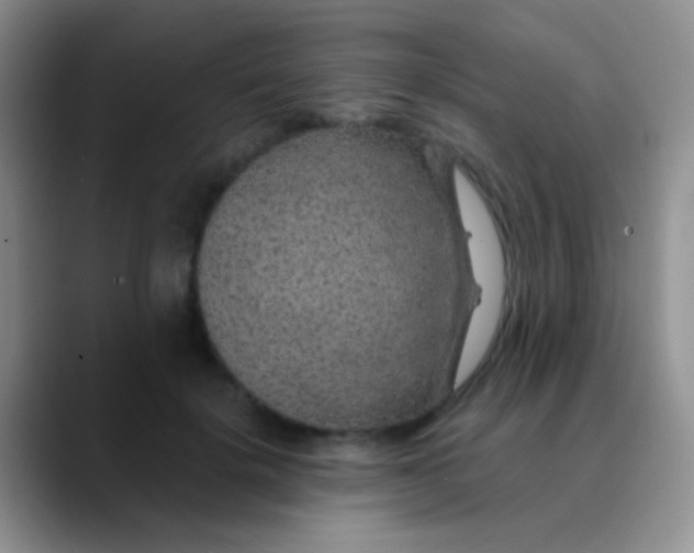 X0000089880652200707191957