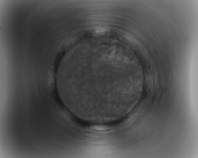 X0000089880654200707191957