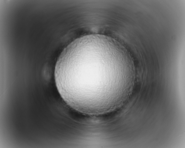 X0000089880656200707191957