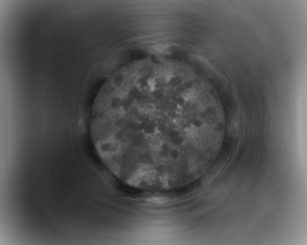 X0000089880658200707191957