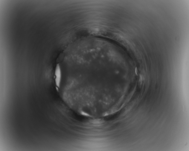 X0000089880659200707191957