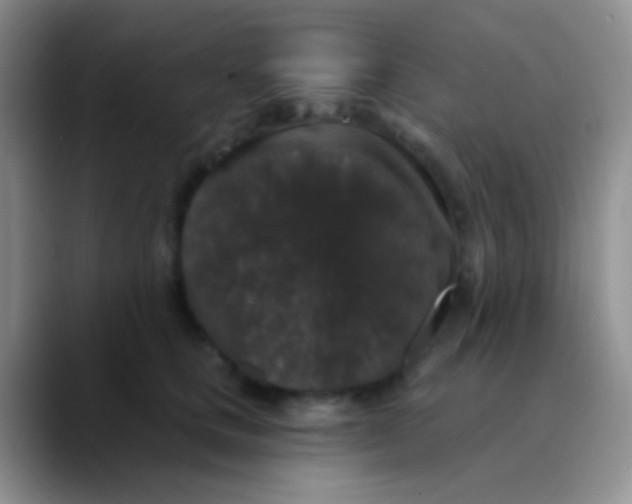 X0000089880661200707191957