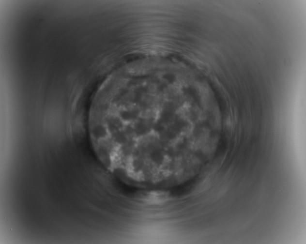 X0000089880663200707191957