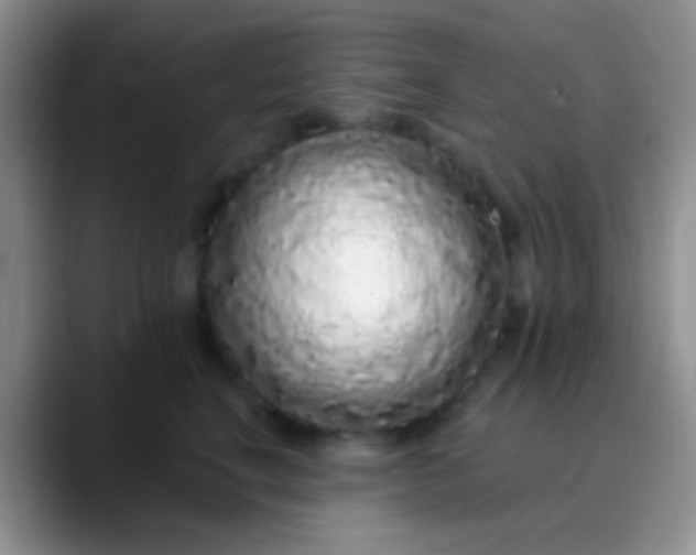 X0000089880664200707191957