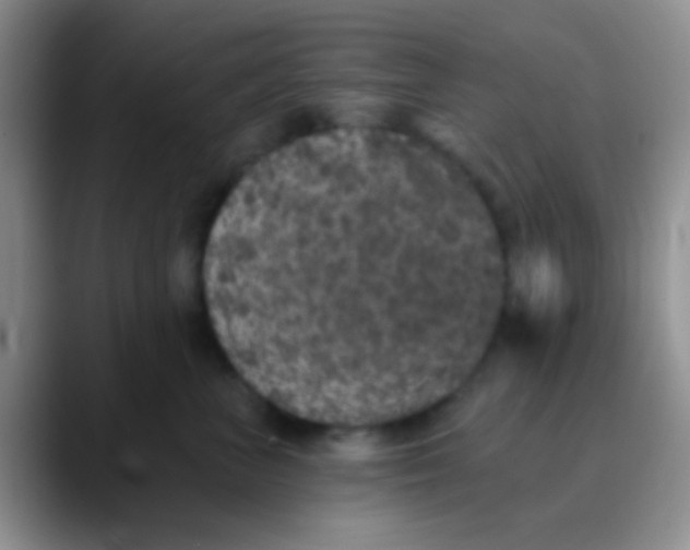 X0000089880667200707191957