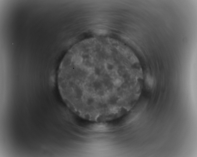 X0000089880668200707191957