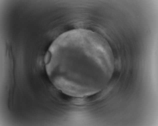 X0000089880671200707191957