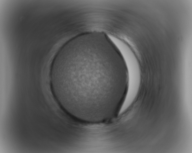 X0000089880673200707191957