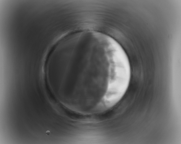 X0000089880674200707191957