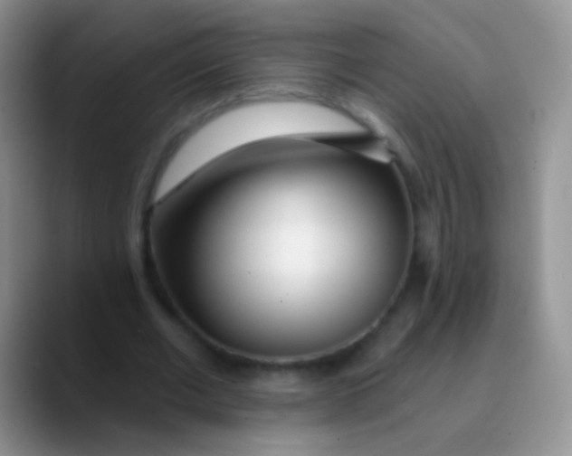 X0000089880677200707191957