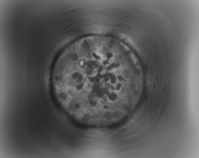 X0000089880679200707191957