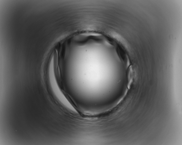 X0000089880680200707191957