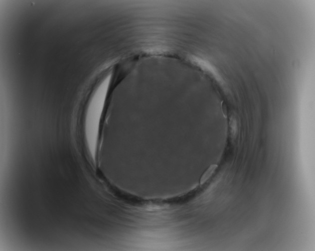 X0000089880684200707191957