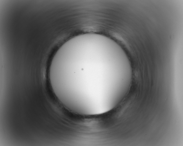 X0000089880686200707191956