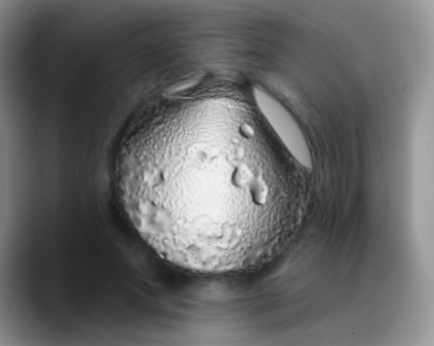 X0000089880687200707191956