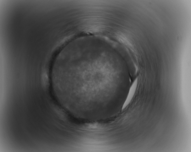 X0000089880688200707191956