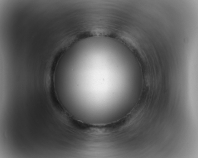 X0000089880690200707191956