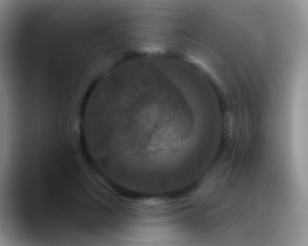 X0000089880692200707191956