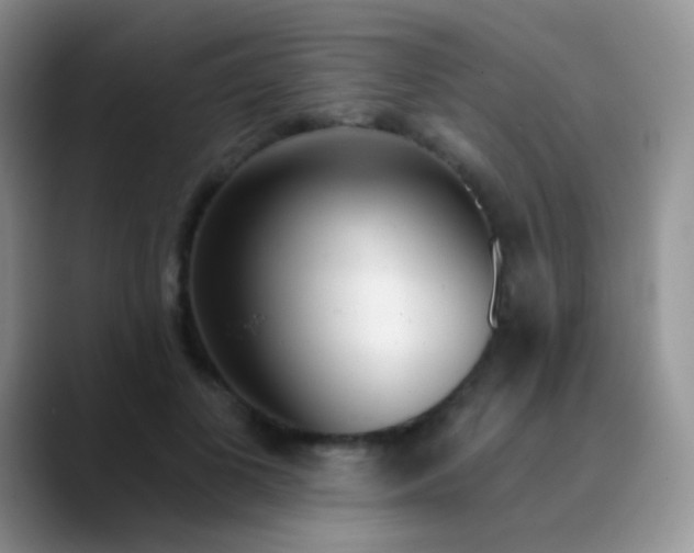 X0000089880693200707191956