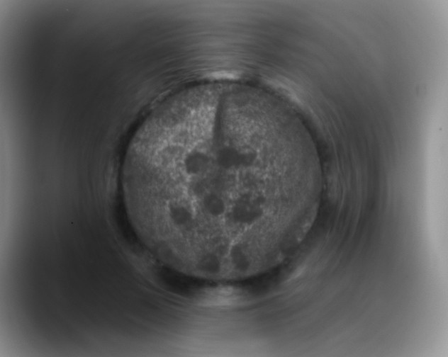 X0000089880695200707191956