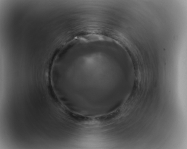 X0000089880696200707191956